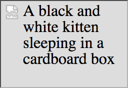 Text description showing in stead of missing image