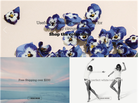 A screenshot showing the start of the eCommerce store page. First there is a full-width carrousel with some illegible text on a flowery background. Then there are two sections with different sales options, but the same "Read more" buttons. No, I would not let that happen today!